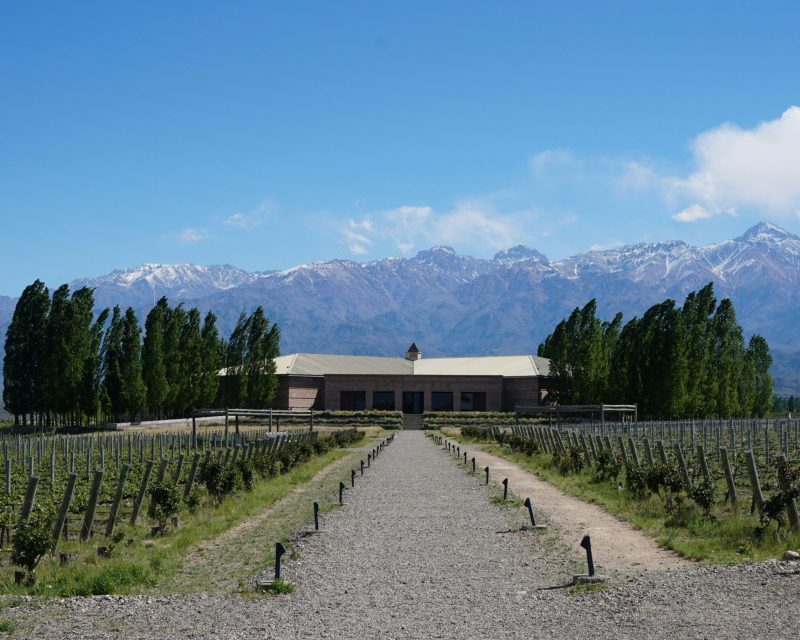 bodega-salentein (1)